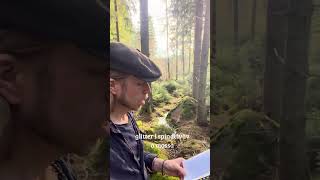 Bäcken - vår-poem #dikt #poem  #poesi