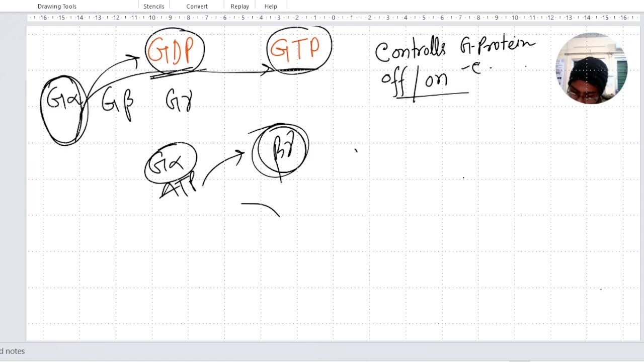 Cell signalling discussion CSIR NET