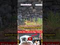 Unglaubliche Fakten über Katzenbabys Teil 20 #katze #katzen #kätzchen #tiere #tier