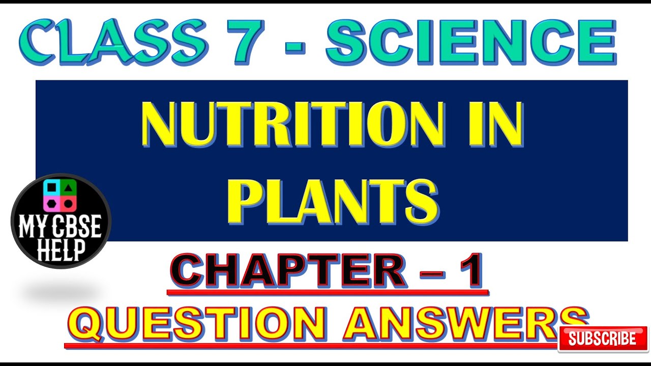 Class 7 Science Chapter 1 Question Answers, Nutrition in Plants ...