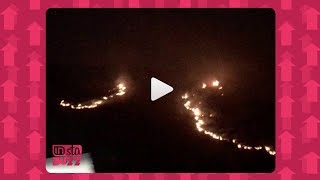 INstabuzz 11082017