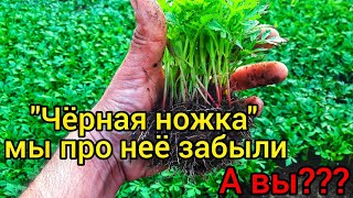 видео: картинка: