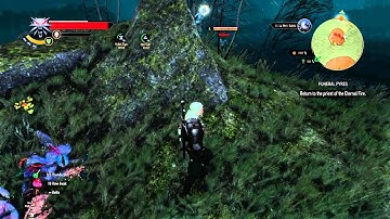 The Witcher 3: Wild Hunt Drowner Farming