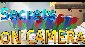 🍀 Hatching a 🐲 Magenta Sea Dragon and a 👑 Royal Doggy on Camera ! Mining Simulator 2