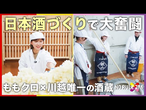 玉井詩織が日本酒づくりで大奮闘！ももクロが川越の酒蔵とNO RULE コラボ【後編】