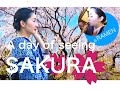 A day of seeing SAKURA （ある日のお花見＠六義園）