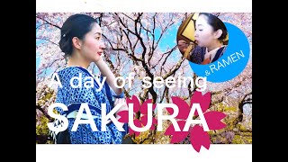 A day of seeing SAKURA （ある日のお花見＠六義園）