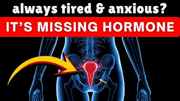 The Science of Hormones: How Progesterone Controls Mood, Sleep & Brain