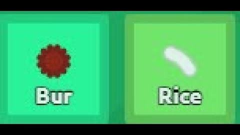 Florr.io - Is Common Rice Good?