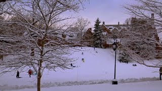 Walking in a Wellesley Wonderland