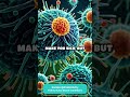 ELI5: How Do Vaccines Work?