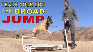 Teach Your DOG the BROAD JUMP  DOG TRAINING VIDEO  Robert Cabral