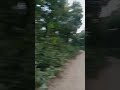 ইসলামিক ভিডিও #islamicvideo  #alightmotionxmlfilevideoediting #islamiclyrics #ইসলামিক_ভিডিও