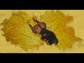 MABANTU X IBRAAH MATESO Official Music MABANTU X IBRAAH MATESO Official Music