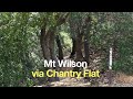 Mt Wilson Hike From Chantry Flat - HikingGuy.com