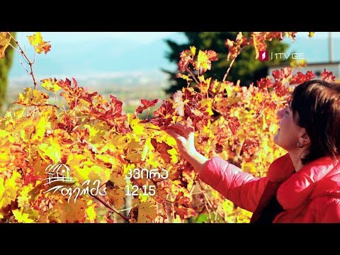 „ფერმა\" - 20 იანვარს, 12:15 საათზე