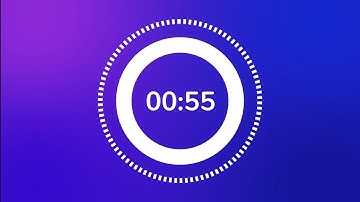 55 Second Timer ⏲️