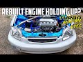 Is It Holding Up After Rebuild? Turbo D15 Mini-Me VTEC