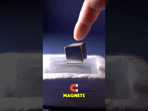 'This Magnet Trick