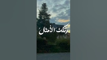 #اكسبلور #تلاوة_خاشعة