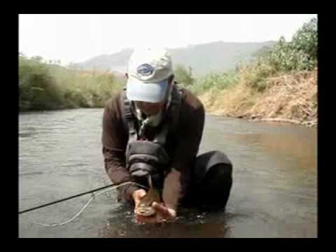 Fly Fishing Thai-Mahseer in Mae Hong Son ( NG River)