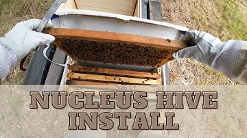 How-To: Install a Nucleus Hive (Bee Colony Nuc Box)