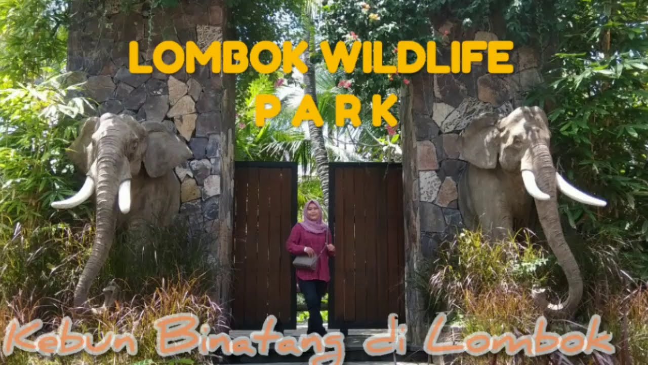 Wisata Kebun Binatang di Lombok Lombok Wildlife Park