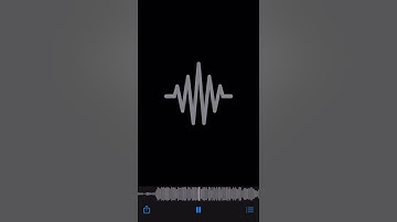 Шайни - Отрывок нового трека