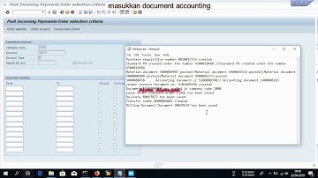 SAP INCOMING PAYMENT (F-28)