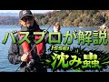 【9割が間違える】沈み蟲の使い方|バスプロが徹底解説