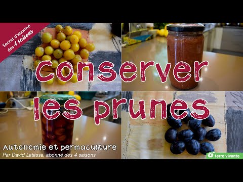 Vidéo: Comme Il Est Facile De Conserver Les Prunes Pour L'hiver
