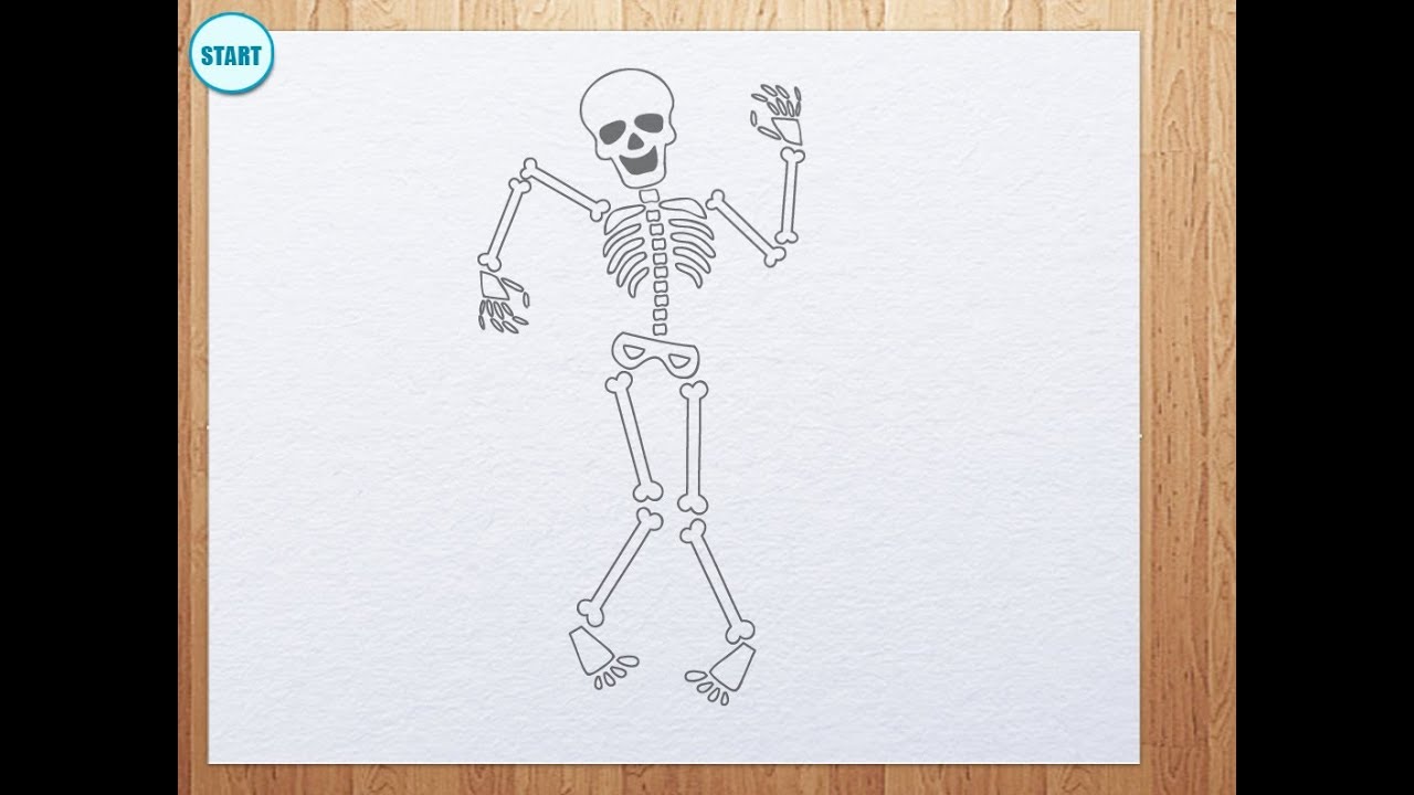 How to draw skeleton - YouTube