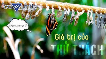 [MMC TV] Blog Radio Số 3: Giá Trị Của Thử Thách