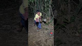 A man found a sugar glider nest  #nature #shortvideo #amazing