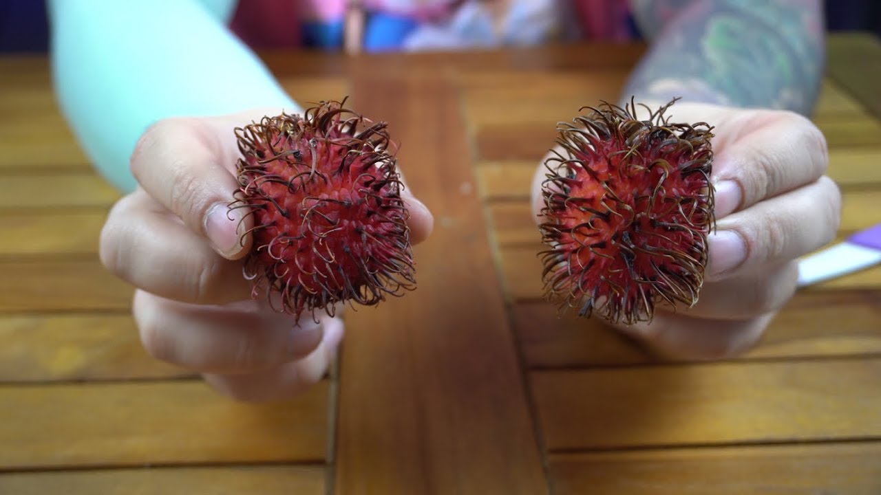 Rambutan Meyvesinin İçinde Ne Var ? - YouTube