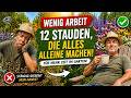 12 Stauden für Faule – blühen den ganzen Sommer und sehen göttlich aus Mp3 Song