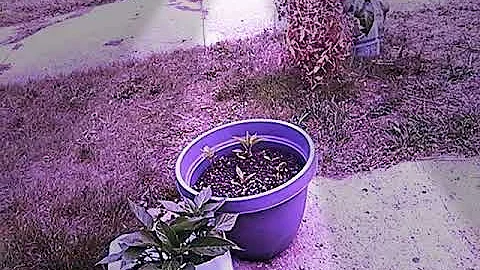 Is she having a dance party?!