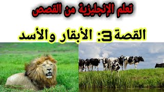 تعلم الإنجليزية من القصص /القصة 3: الأبقار و الأسد