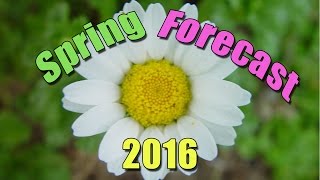 Spring Forecast 2016