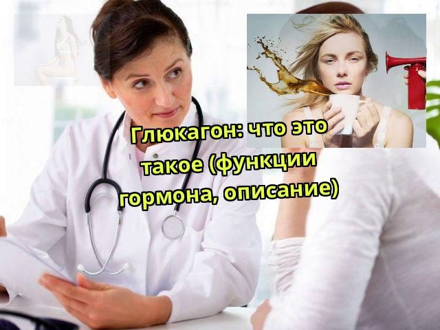 Глюкагон: что это такое (функции гормона, описание)