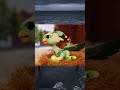 The WORST Mobile Game ads EVER (ocean background meme)