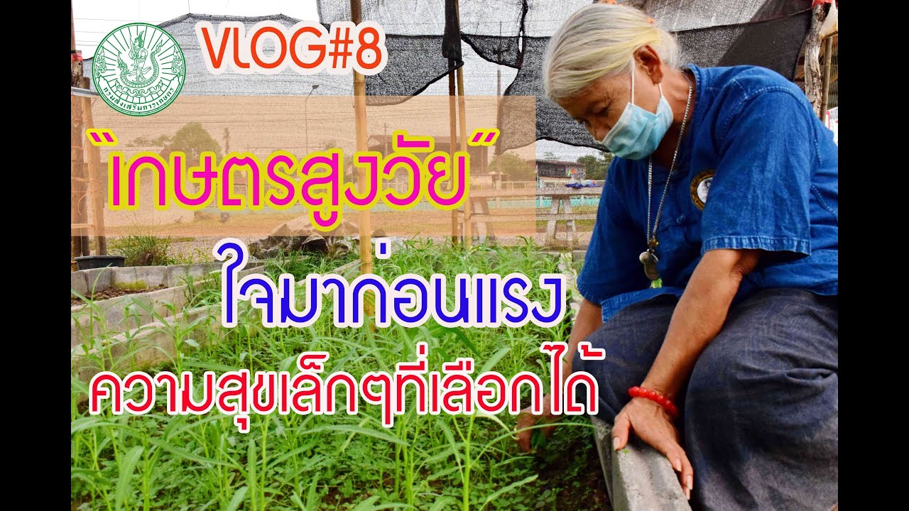 Vlog # 8 “เกษตรสูงวัย....ใจมาก่อนแรง” ความสุขเล็กๆที่เลือกได้ - Youtube