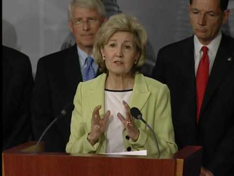 Kay Bailey Hutchison Stresses Need for Clean, Rene...