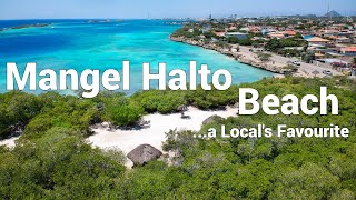 Overlooked Mangel Halto Beach 🏝 Aruba Vlog Walking tour