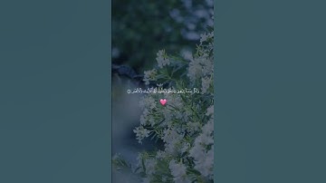 تلاوة مؤثرة الشيخ ماهر المعيقلي #القرآن_الكريم #المصحف #اكسبلور #لايك