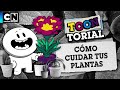 CÓMO CUIDAR TUS PLANTAS | TOONTORIAL | CARTOON NETWORK