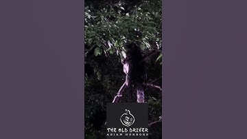 Ghostly Sighting in the Trees #scary #spooky #ghost #pontianak