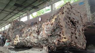Industrial Timber Processing Australia