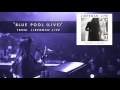 Miniature de la vidéo de la chanson Blue Pool (Live)