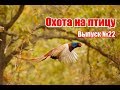 Охота на птицу | Выпуск №22 (UKR)